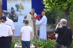 P1120036