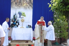 P1130937