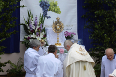 P1160780