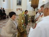 s_DSC00737