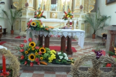 P1090237