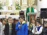 s_P1020861.jak-zmniejszyc-fotke_pl