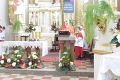 P1130053