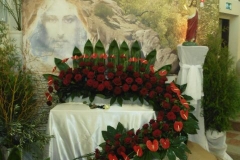 P1070036.jak-zmniejszyc-fotke_pl