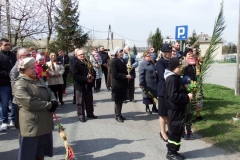 DSCF0178.jak-zmniejszyc-fotke_pl