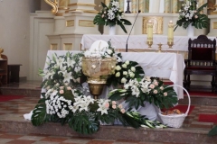 DSCF1284.jak-zmniejszyc-fotke_pl