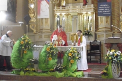 P1130610